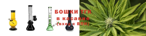 ГАЛЛЮЦИНОГЕННЫЕ ГРИБЫ Вязники